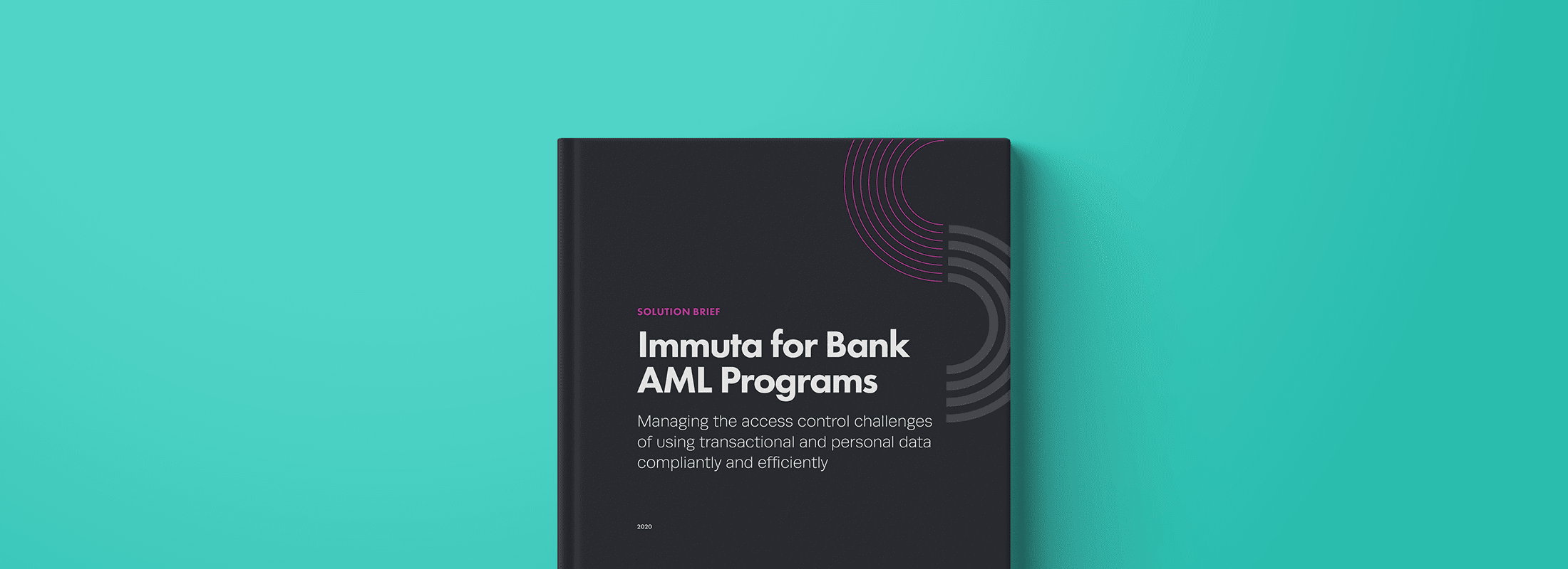 Immuta for Bank AML Programs