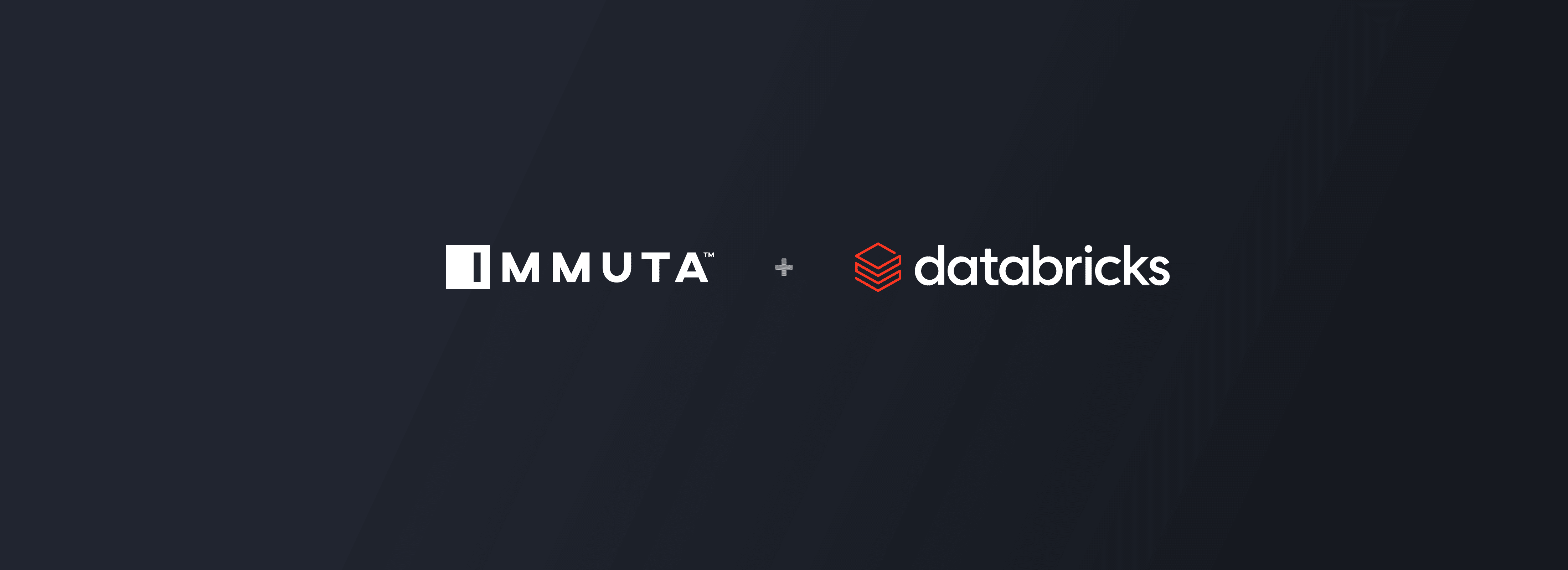 Databricks and Immuta