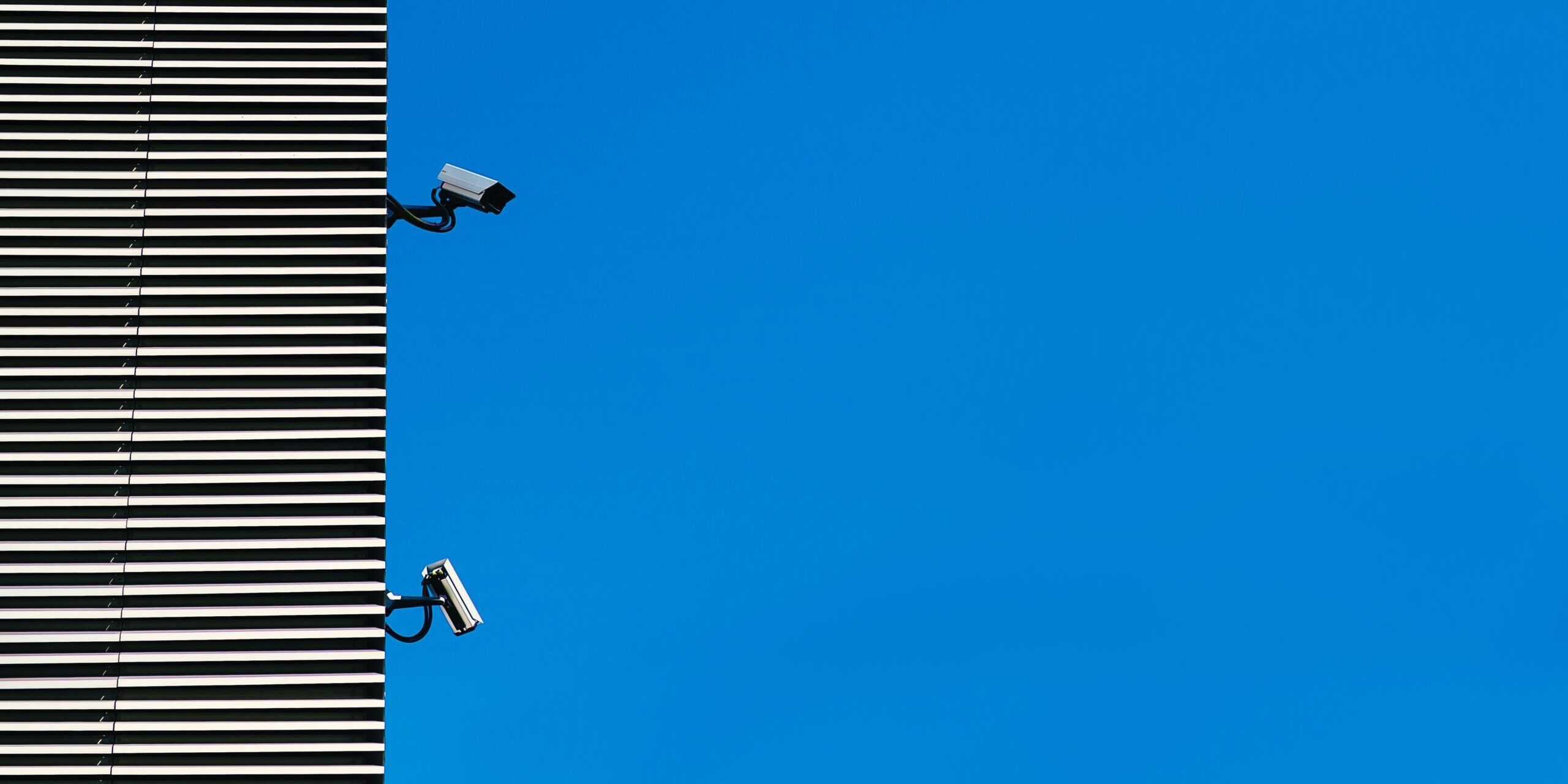https://www.immuta.com/wp-content/uploads/2023/05/arthur-mazi-a8CxRWIu8yw-unsplash-scaled-e1684944142792.jpg