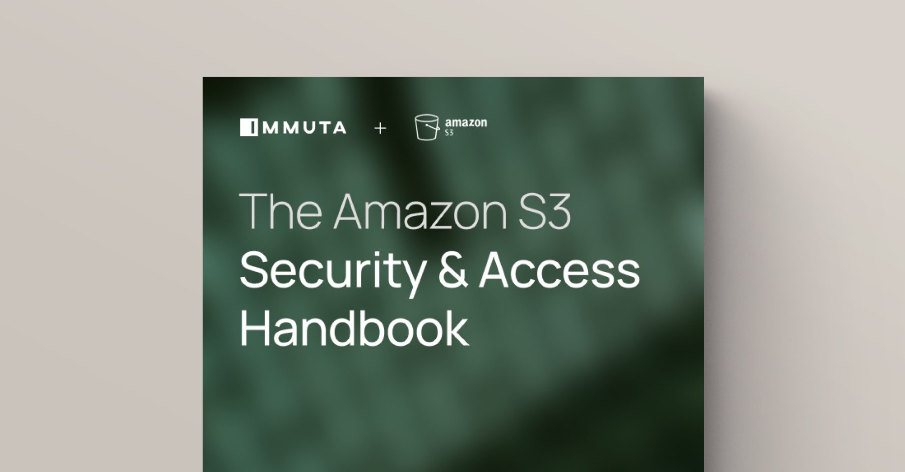 Security Risk Amazon The Amazon S3 Security & Access Handbook | Immuta